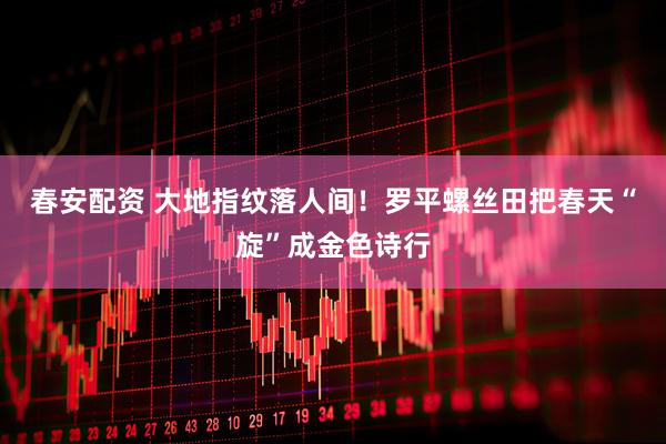 春安配资 大地指纹落人间！罗平螺丝田把春天“旋”成金色诗行