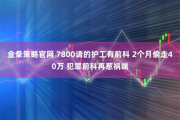 金夆策略官网 7800请的护工有前科 2个月偷走40万 犯罪前科再惹祸端